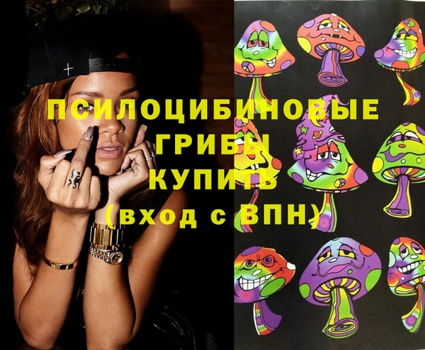 прущая мука Алзамай