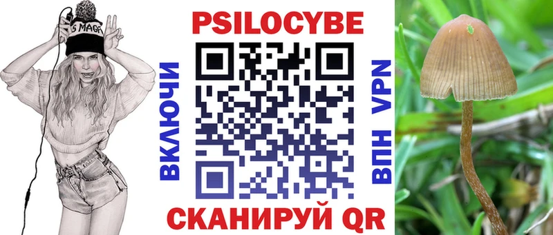 Псилоцибиновые грибы Psilocybe  где найти   это наркотические препараты  Новоуральск  блэк спрут зеркало 